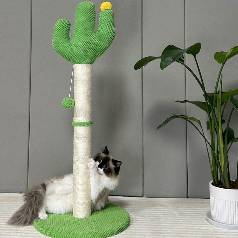 Pawsometime Kratzsäule Katze Kaktus Design mit Sisal, Grün, Hängespielzeug Ball, Stabile und sichere