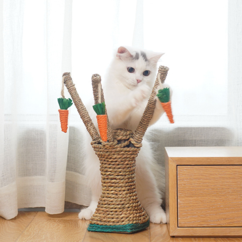 Kleine Kratzbaum, Baumstamm Kratzsäule für Katzen, Kratzspielzeug für Katzen im Innenbereich, Naturfreundliches Material