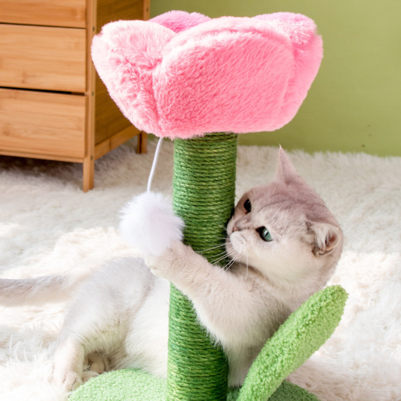 Pawsometime Katzenkratzbaum Flower, Tulpenform Katzenspielzeug, Sisalsäule Mit Plüschball, Für Wohnungskatzen