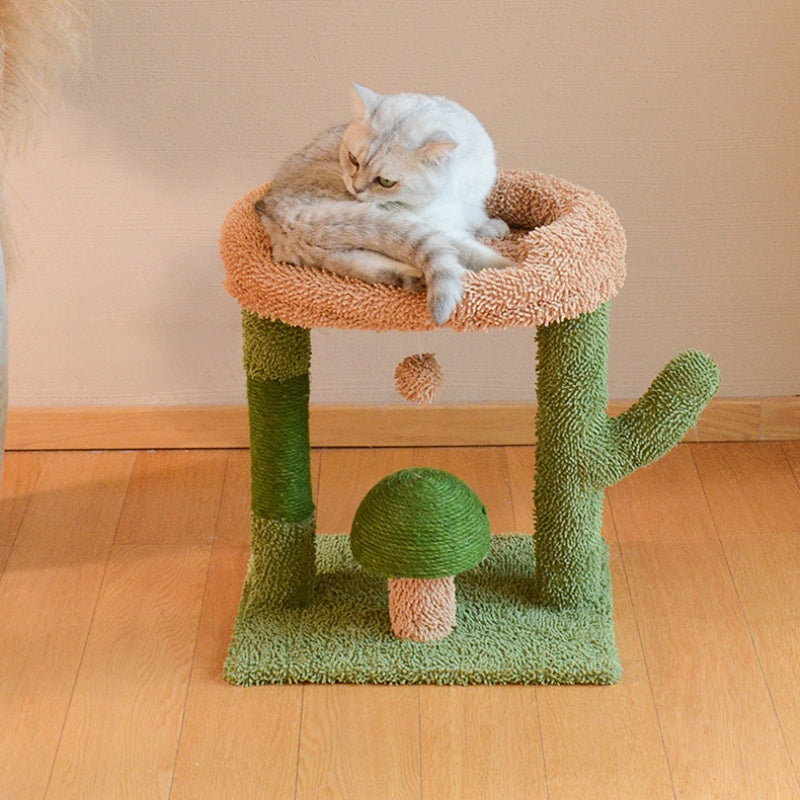 Katzen Baum, Cactus Sisal-Katzenbaum mit Katzenbett, Pilzform Katzenkratzball, Schlafen für große Katzen & Krallenschleifen