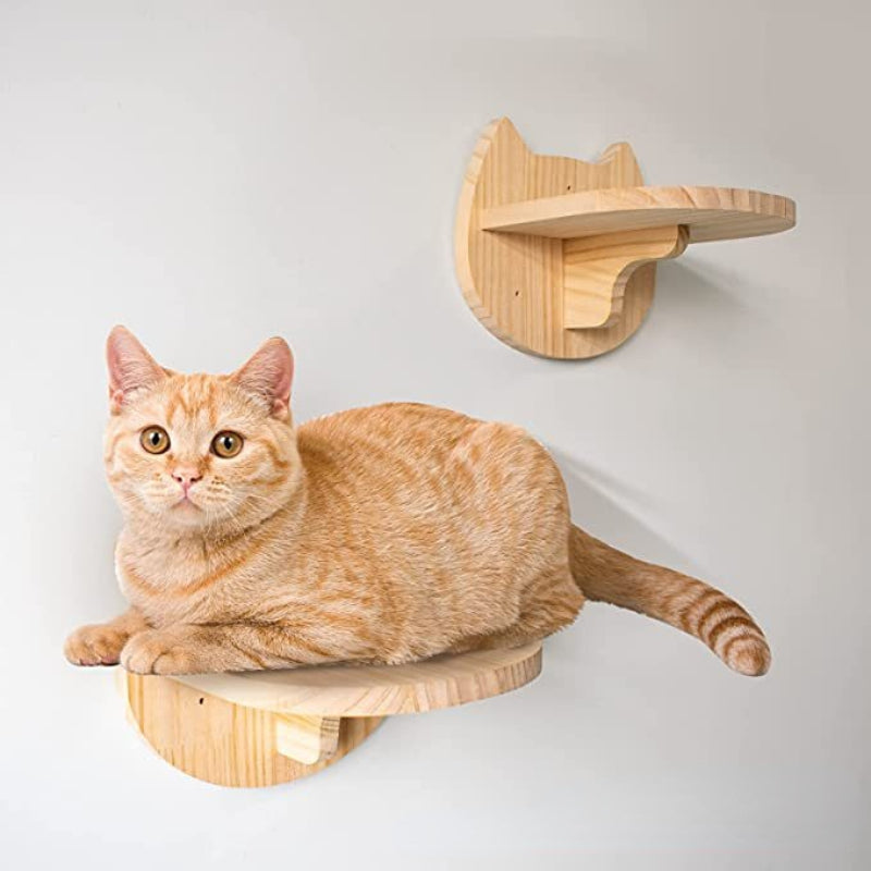 Wand Katzenbaum, Wandspielzeug für Katzen aus Holz, Stabiler Katzenplattform mit niedlichem Katzenmuster (1 Stück)