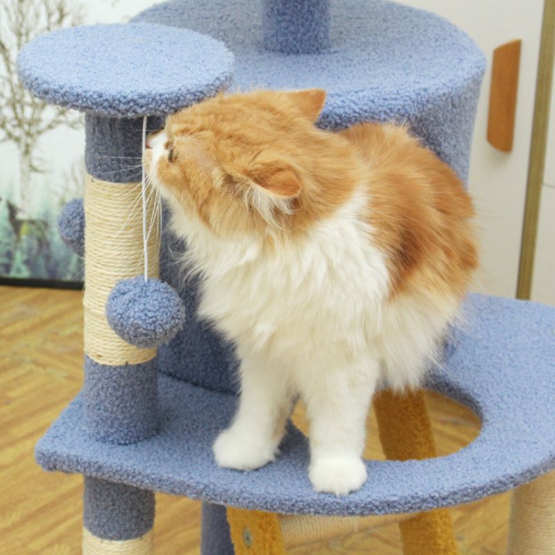 Katzenbaum, Cartoon-Stil, Lustiger Katzenbaum mit Kletterleiter und Ruheplattform, Weiche Plüsch-Oberflächen