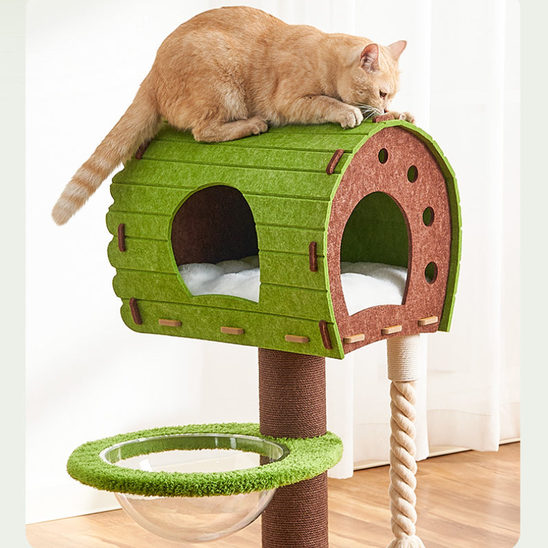 Katzenbaum Groß, Gefühlt Katzenhaus & Sisal Kratzsäule, Lebendige Farben, Mehrere Katzen, Ideal für Spiel und Entspannung