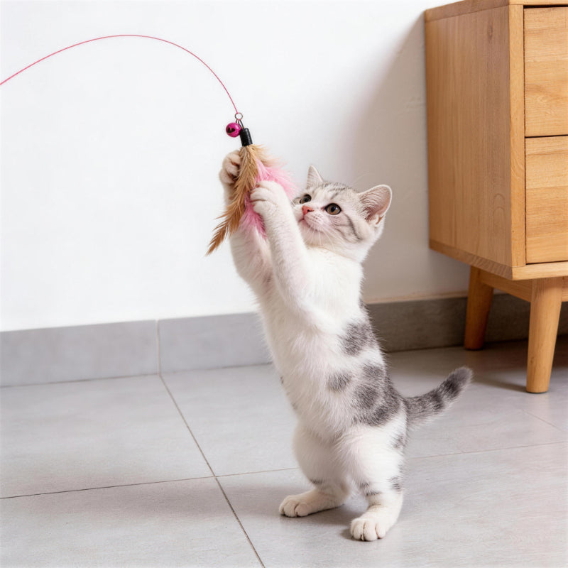 Katzenangel feder Glocke Unterhaltungsstab Elastischer Stahldraht Handheld, Zufällige Farben