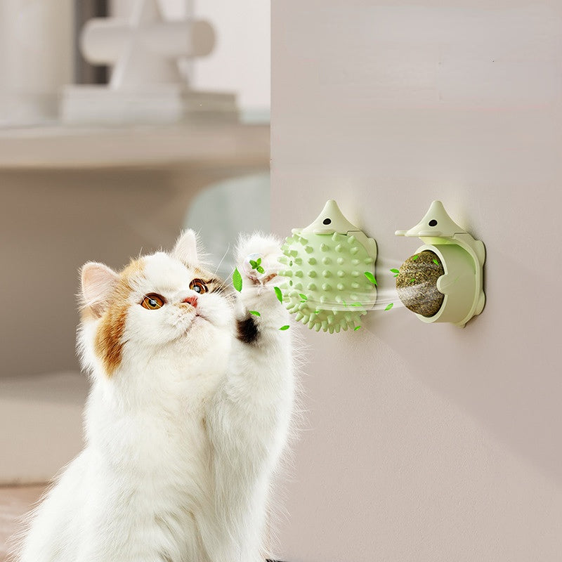 Katzenspielzeug Katzenminze Anti-Juckreiz Igel- und Kürbisform, Katzendekompression & Entspannung