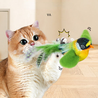 Katzenspielzeug Vogel macht Geräusche und kann aufgehängt werden , ideal zum Trainieren des Jagdinstinkts