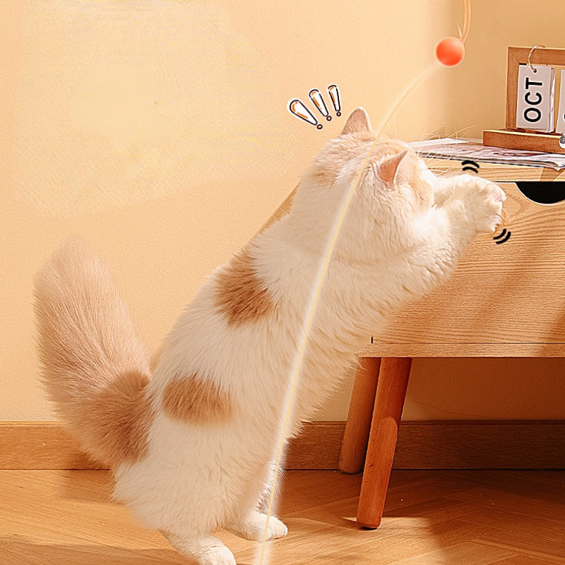 Katzen Spielzeug, Elastischen Katzenball aus Silikon mit Federn, Drei Farben eingestellt, für Spaß und Unterhaltung Ihrer Katze