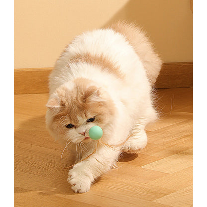 Katzen Spielzeug, Elastischen Katzenball aus Silikon mit Federn, Drei Farben eingestellt, für Spaß und Unterhaltung Ihrer Katze