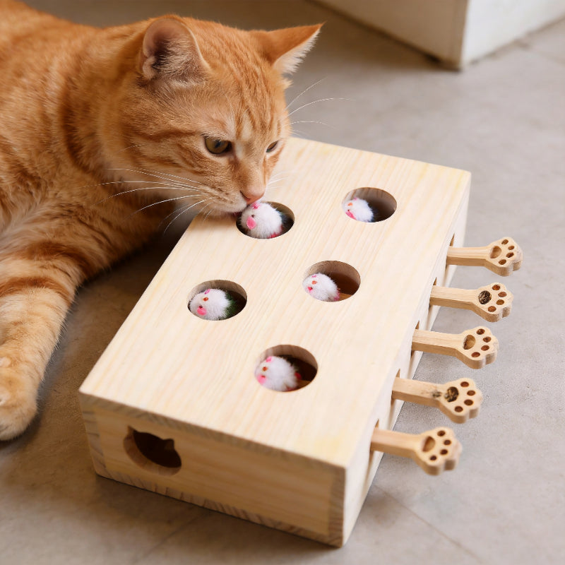 Katzenspielzeug Massivholz Whack-a-Mole, Katzenminze kann hinzugefügt werden, interaktives Spiel zum Stressabbau
