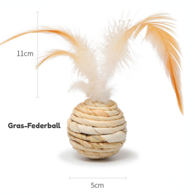 Katze Spielzeug, 7-teiliges Katzenspielzeug Geschenkset, Interaktives Spielzeug für Katzen zum Spielen, Beschäftigung und Bewegung