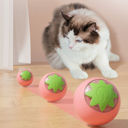 Katzenspielzeug elektrisch, Interaktives Selbstbewegenden Rollbällen, Spaß & Unterhaltung für Katzen, Gelb, Grün, Rosa (3 Stück)