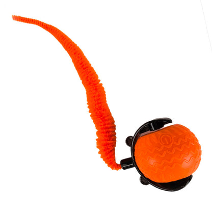 Katzenspielzeug Elektrisch, Interaktiver Spielball für Katzen, Weiches Gummimaterial, Orange & Blau, Katze spielt alleine