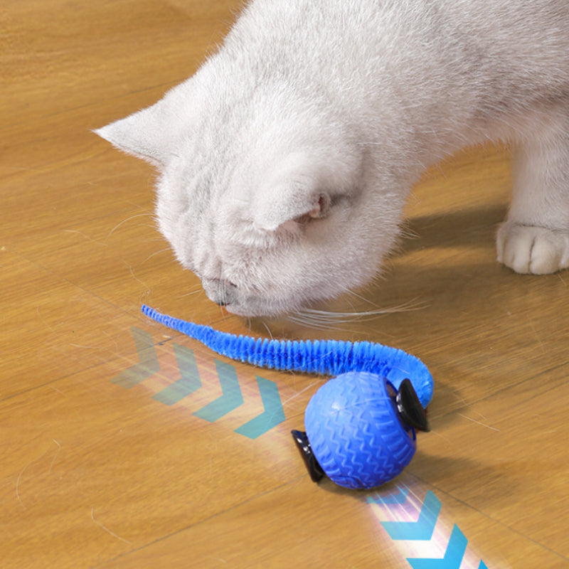 Katzenspielzeug Elektrisch, Interaktiver Spielball für Katzen, Weiches Gummimaterial, Orange & Blau, Katze spielt alleine