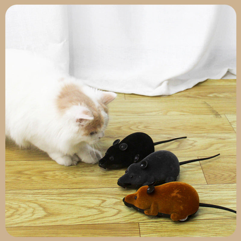 Katzenspielzeug elektrisch, Realistische elektrische Maus mit Fernbedienung, Katzen Spielzeug in Schwarz, Grau und Braun