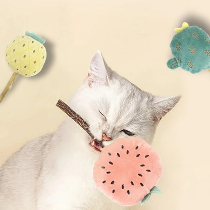 Katze Spielzeug, Katzenminze Plüschspielzeug mit Fruchtform, Spielzeug mit kleinen Glöckchen, ideal als Zahnreibestick und zur Zahnpflege