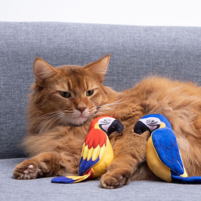 Kuscheltier Katze, Realistisches Papageien-Design, 16cm, mit Knisterpapier für spannende Geräusche, in Blau oder Rot