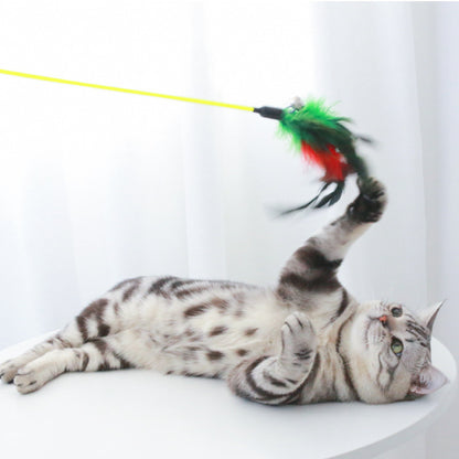 Katzenspielzeug, Katzenangeln mit Federn & Glöckchen, 50cm Lange Stange, Zufällige Farbe für endlosen Spaß