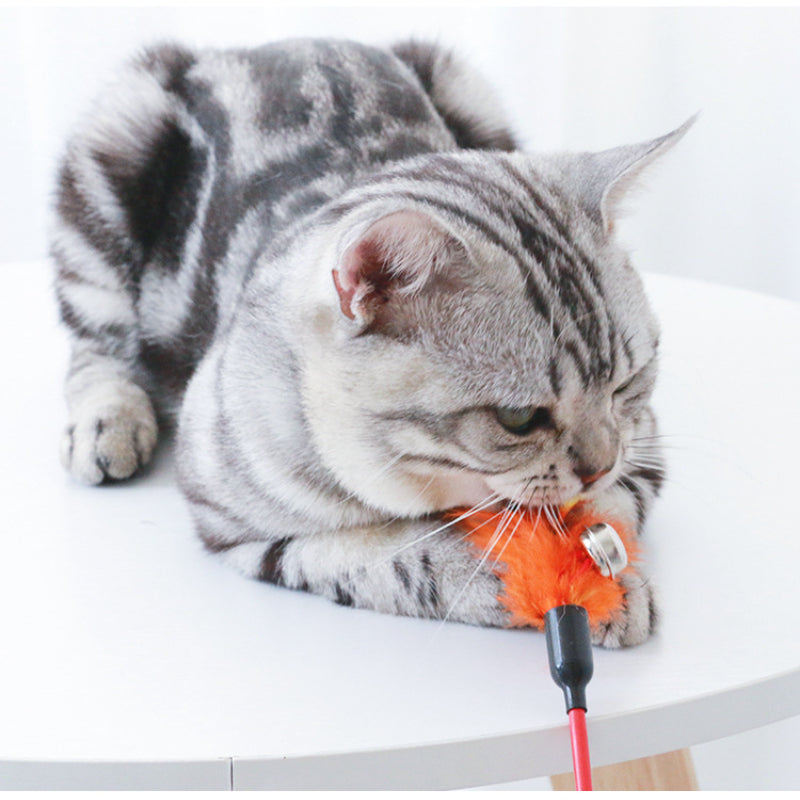 Katzenspielzeug, Katzenangeln mit Federn & Glöckchen, 50cm Lange Stange, Zufällige Farbe für endlosen Spaß