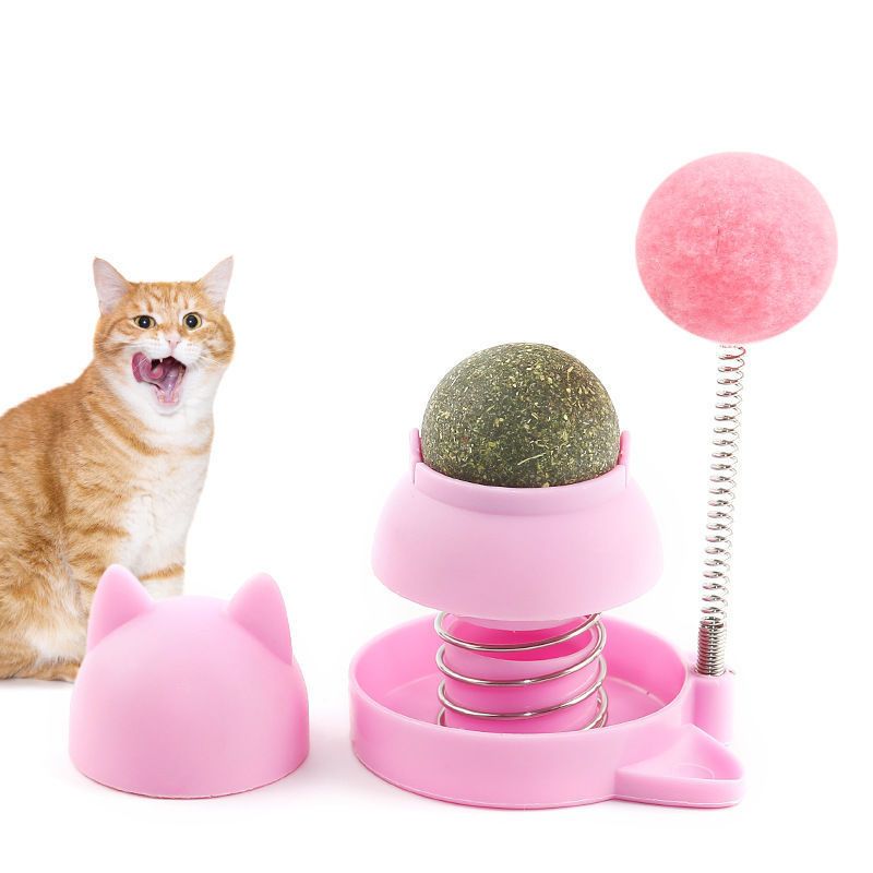 Katzen Spielzeug, Springspielzeug mit Katzenminze für Katzen, Bunte Auswahl in Rosa und Orange