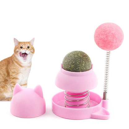 Katzen Spielzeug, Springspielzeug mit Katzenminze für Katzen, Bunte Auswahl in Rosa und Orange