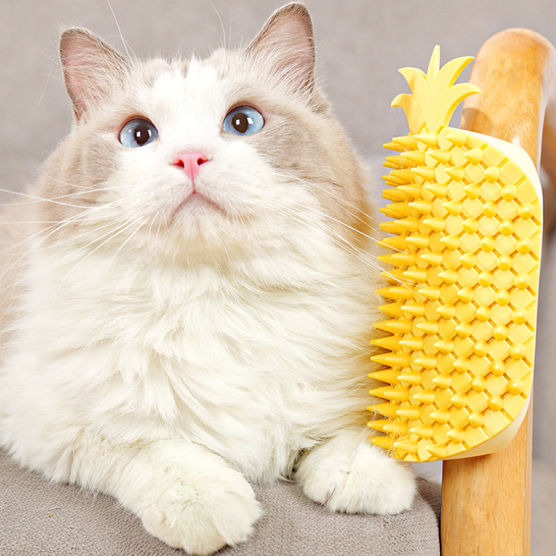 Katzen Spielzeug, Kratzwerkzeug im Gelb Ananas-Design, Wand-Eck-Kratzhilfe für Katzen Juckreiz lindern, Enthält Katzenminze