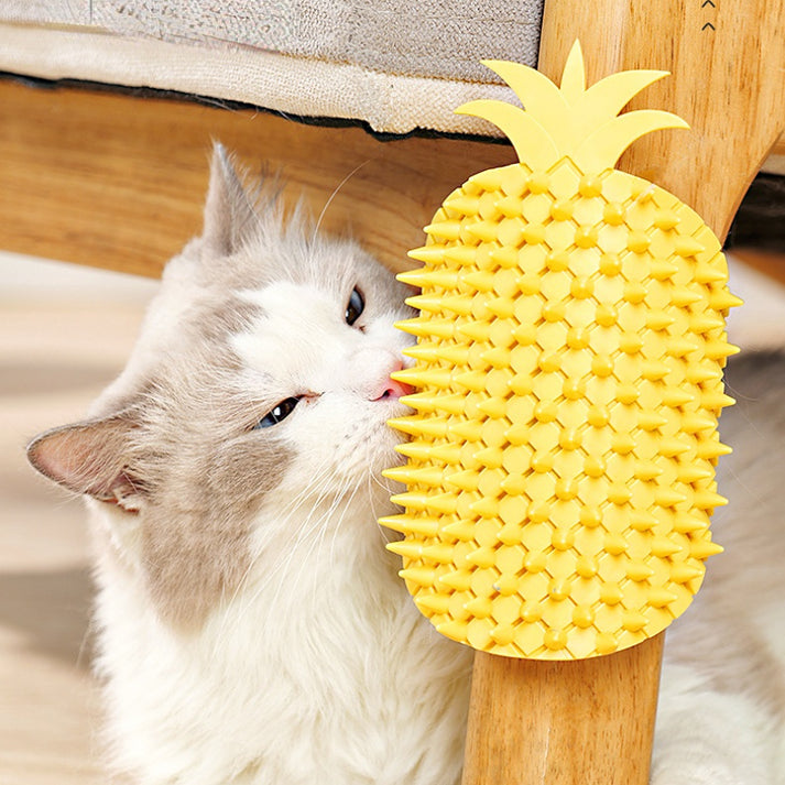 Katzen Spielzeug