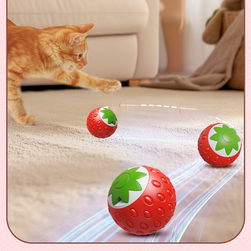 Katzenspielzeug elektrisch, lustigen Erdbeerdesign, aufladbares, Rot und Grün, Leise und langlebig für endlosen Spielspaß