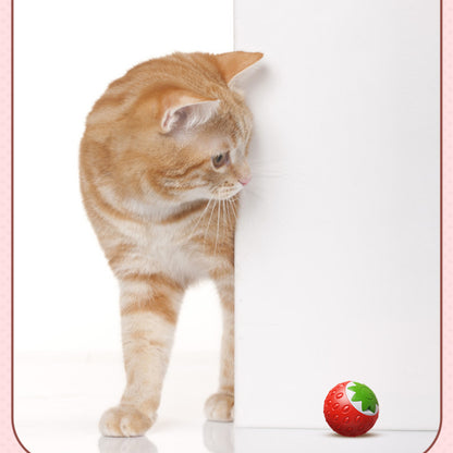 Katzenspielzeug elektrisch, lustigen Erdbeerdesign, aufladbares, Rot und Grün, Leise und langlebig für endlosen Spielspaß