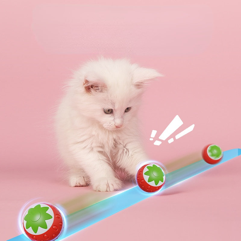 Katzenspielzeug elektrisch, lustigen Erdbeerdesign, aufladbares, Rot und Grün, Leise und langlebig für endlosen Spielspaß