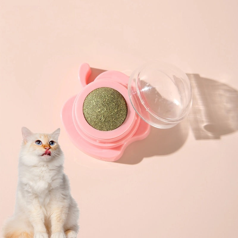 Spielzeug Katze, Apfel-Design mit Katzenminze, Entspannendes, 3er Set in Rot, Blau und Grün