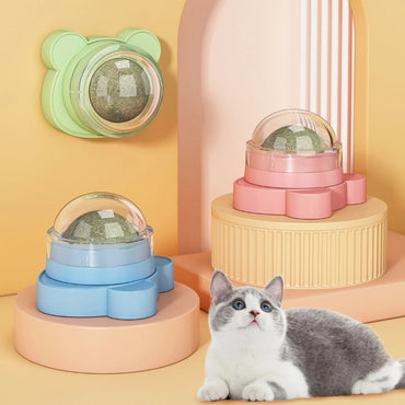 Katze Spielzeug, 3er Set mit Katzenminze, Bär-design, interaktive Spielzeuge für Katzen, zur Entspannung und zur Vermeidung von Langeweile