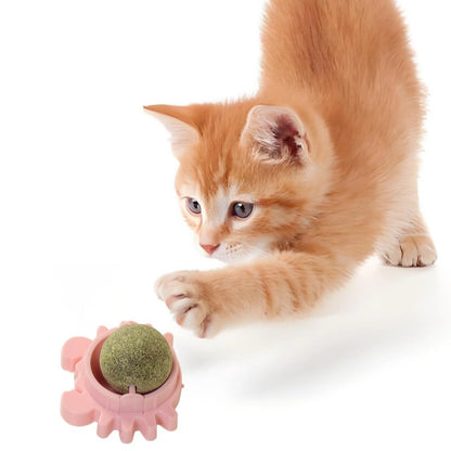 Katzen Spielzeug, Krabben-Form, robuster Katzenminze-Ball zum Drehen, hält Ihre Katze glücklich und aktiv, 3 Stück