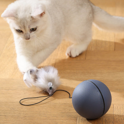 Katzenspielzeug elektrisch, Interaktives Katzenball mit Mause-Spielzeug, 8,1 cm Durchmesser, Grau, für aktive Katzen