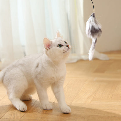 Katzenspielzeug elektrisch, Interaktives Katzenball mit Mause-Spielzeug, 8,1 cm Durchmesser, Grau, für aktive Katzen