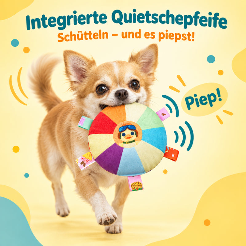 Frisbee für Hunde DT001-01-6