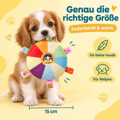 Frisbee für Hunde DT001-01-7