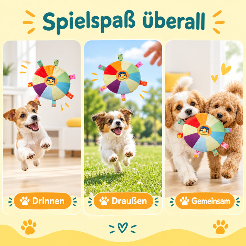 Frisbee für Hunde DT001-01-8