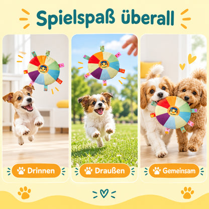 Frisbee für Hunde DT001-01-8