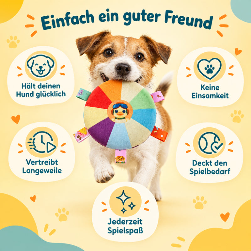 Frisbee für Hunde DT001-01-9