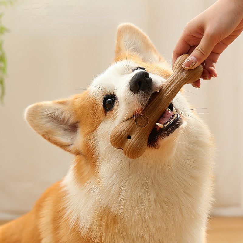 Kauspielzeug Hund, Natürliches Kieferholz Knochenform, langlebig und sicher, geeignet für Hunde aller Größen