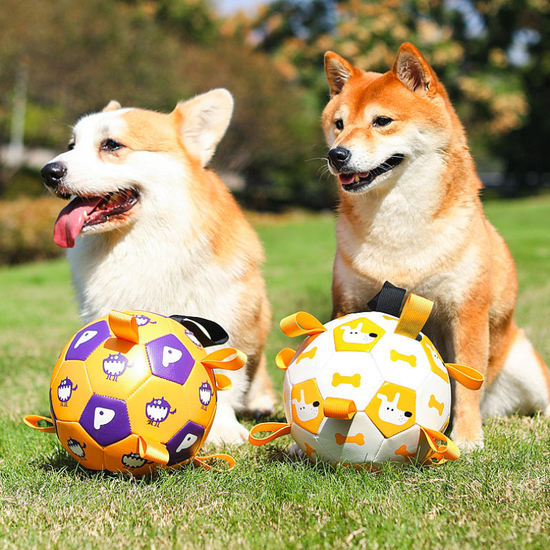 Hundespielzeug Hundeball, Kauspielzeug, langlebig aufblasbarer Ball, für die Interaktion im Innen und Außenbereich (1 Stück)