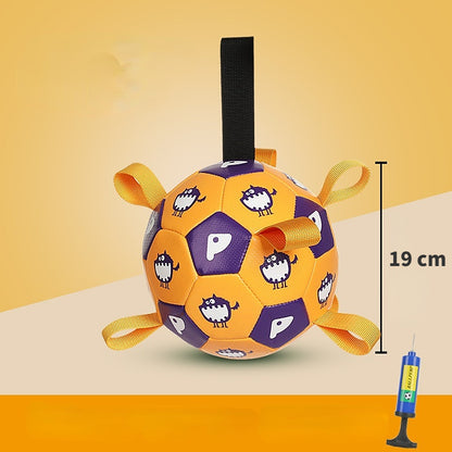 Hundespielzeug Hundeball, Kauspielzeug, langlebig aufblasbarer Ball, für die Interaktion im Innen und Außenbereich (1 Stück)