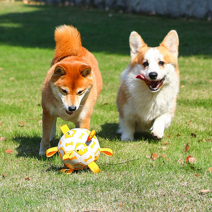 Hundespielzeug Hundeball, Kauspielzeug, langlebig aufblasbarer Ball, für die Interaktion im Innen und Außenbereich (1 Stück)