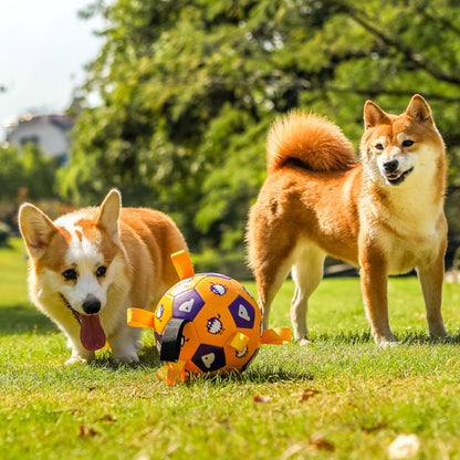 Hundespielzeug Hundeball, Kauspielzeug, langlebig aufblasbarer Ball, für die Interaktion im Innen und Außenbereich (1 Stück)