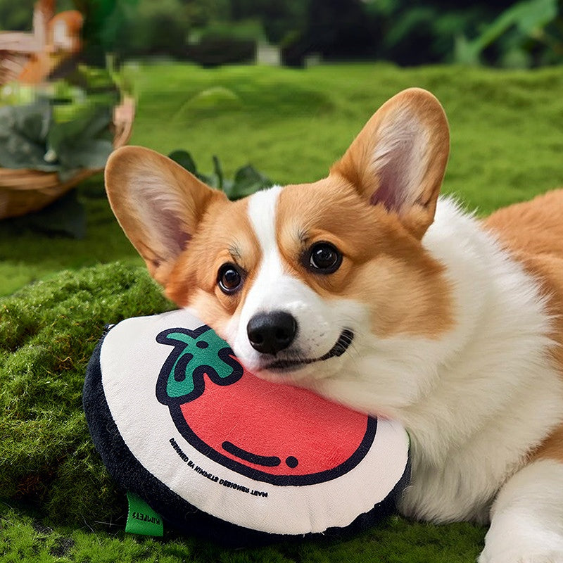 Kuscheltier für den Hund, Tomaten-Muster rundes Kissen mit Quietscher, Spielen & Kauen für kleine und mittelgroße Hunde (1 Stück)