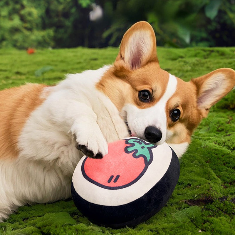 Kuscheltier für den Hund, Tomaten-Muster rundes Kissen mit Quietscher, Spielen & Kauen für kleine und mittelgroße Hunde (1 Stück)