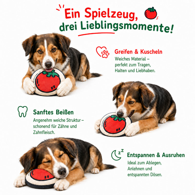 Kuscheltier für Hunde DT001-10-7