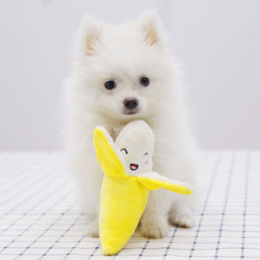 Hund Kuscheltiere, Welpenspielzeug, Plüschbanane mit BB-Geräusch und Knisterpapier, Hundespielzeug Beschäftigung, 15cm lang