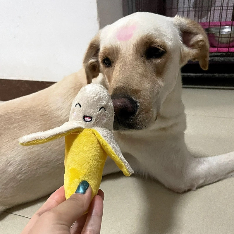 Hund Kuscheltiere, Welpenspielzeug, Plüsch Banane mit Quietscher und Knisterpapier, Hundespielzeug Beschäftigung, 15cm lang