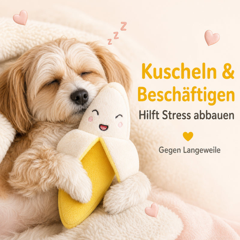 Hund Kuscheltiere DT002-08-7